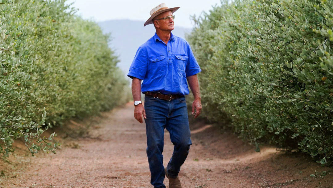 The Circle Life of Jojoba