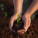 Jojoba Lip Balm 10g / 0.35 fl.oz