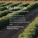 Pigmentation Oil 30ml / 1.0 fl.oz