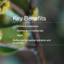 Jojoba Lip Balm 10g / 0.35 fl.oz