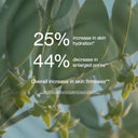 Jojoba Water Toning Mist 1.7 fl.oz