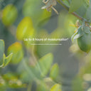 Pure Jojoba Gel Mask