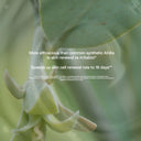 Jojoba & Enzyme Radiance Mask
