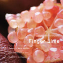 Daily Glow Exfoliating PHA Tonic