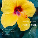 Daily Glow Exfoliating PHA Tonic