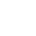 The jojoba Company UK