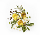 Olive oil with olives and leaves on a white background from The Jojoba Company